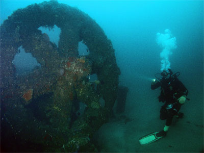 Royal Shepherd flywheel